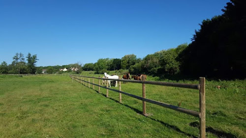 HARAS DE LA FRESNAY à Houdan