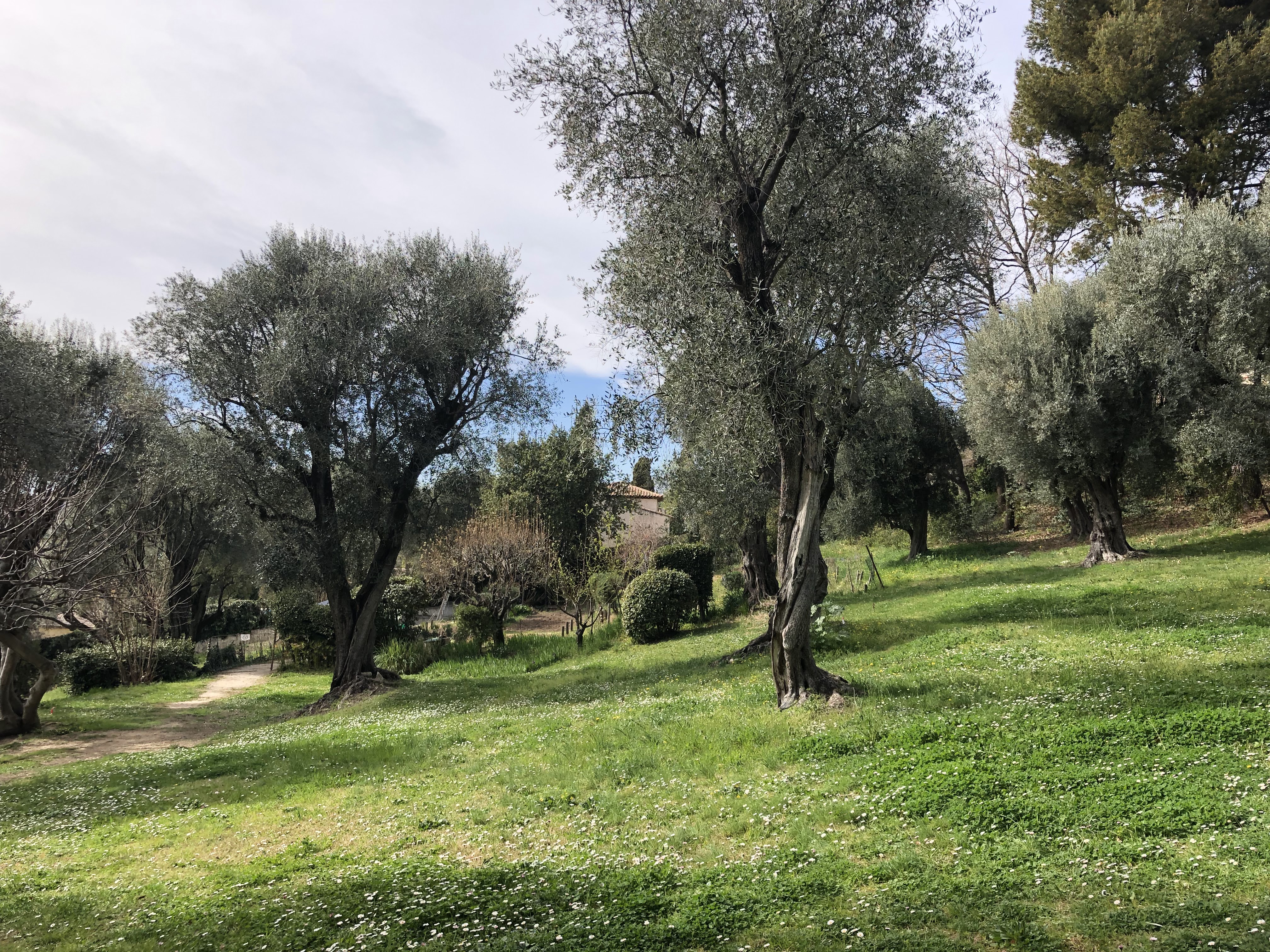 Photo n° 9 de l'avis de Denis.u fait le 25/04/2019 à 10:20