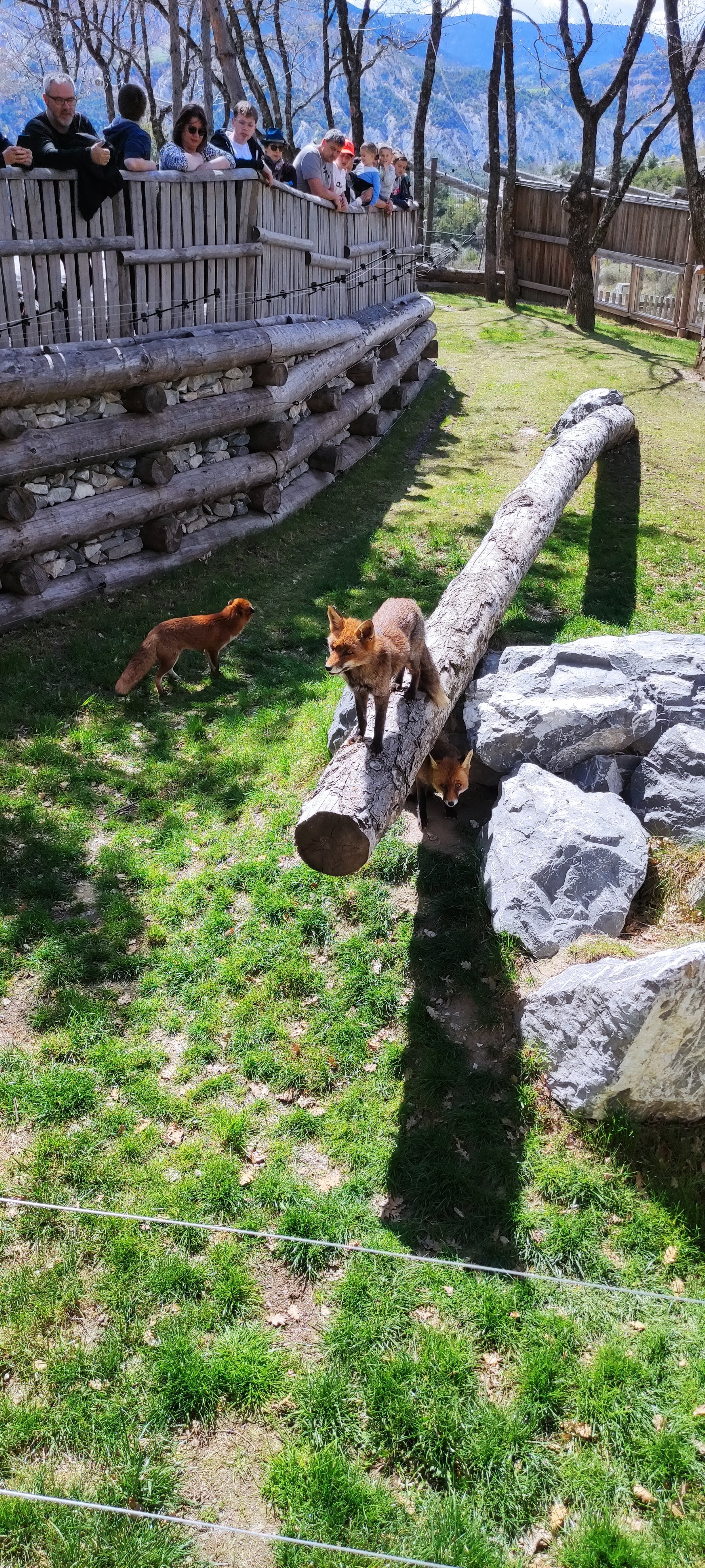 Photo n° 23 de l'avis de Alexia.a fait le 20/04/2023 à 07:36