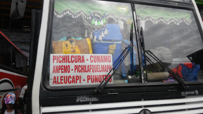 Opiniones de Terminal Rahue en Osorno - Servicio de transporte