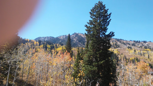 Resort «Solitude Mountain Resort», reviews and photos, 12000 Big Cottonwood Canyon Rd, Solitude, UT 84121, USA