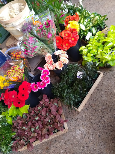 Florist «Fern by Boston Rose Florist», reviews and photos, 225 Massachusetts Ave, Boston, MA 02115, USA