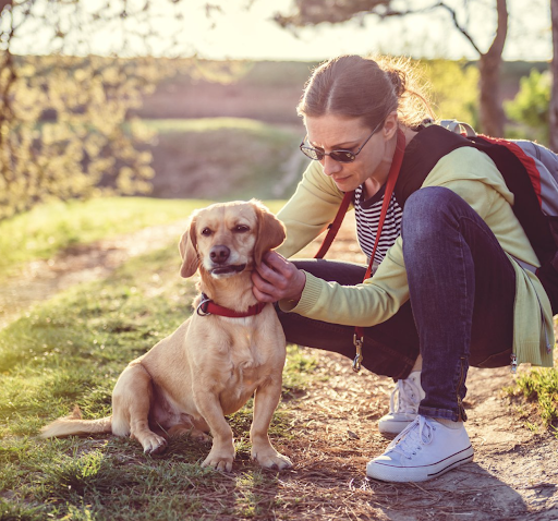 Pet Store «Pet Resources», reviews and photos, 814 Westchester Ave, Bronx, NY 10455, USA