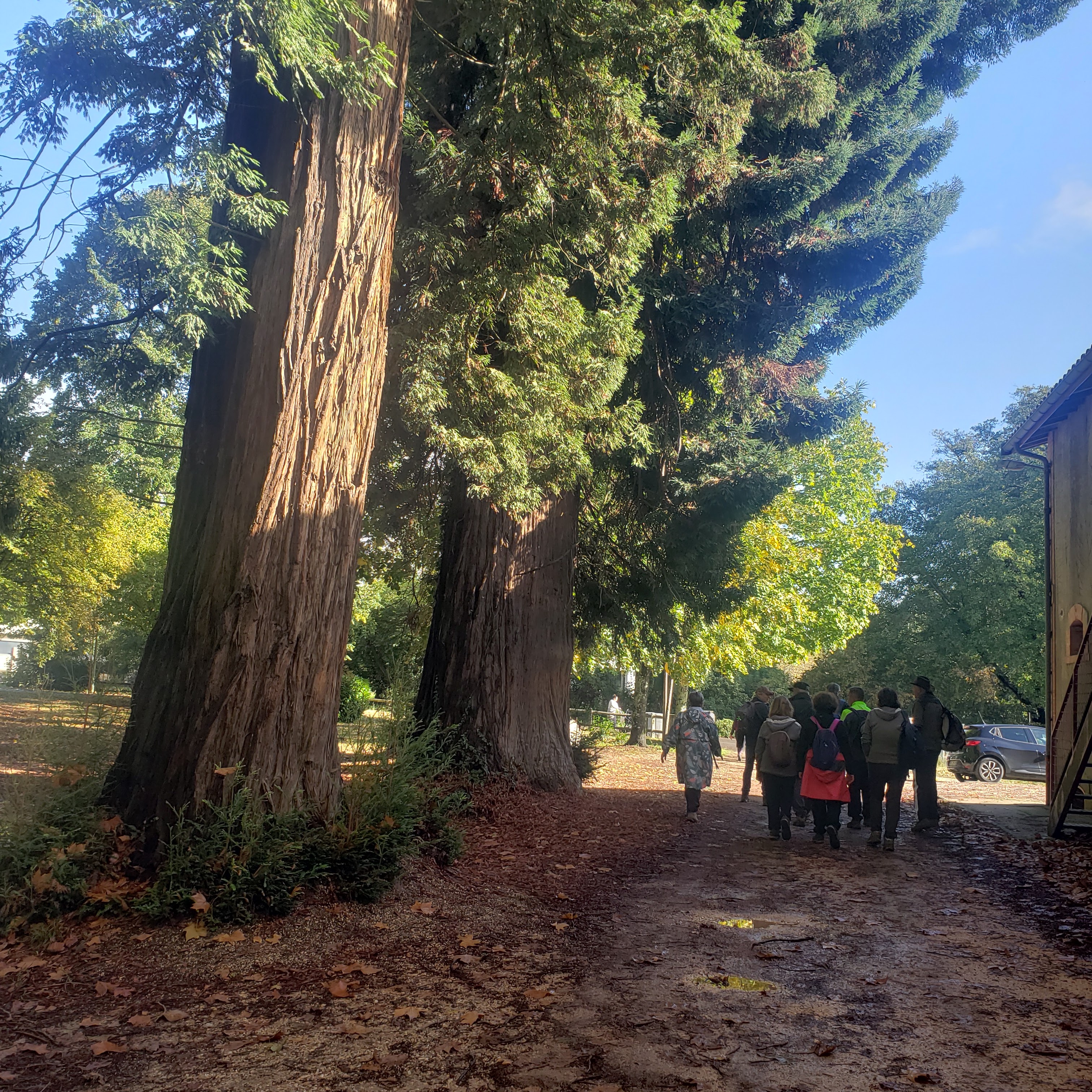 Photo n° 8 de l'avis de serge.t fait le 31/10/2023 à 17:01
