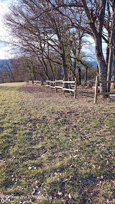 BARTHASSAT PAYSAGE à Viry