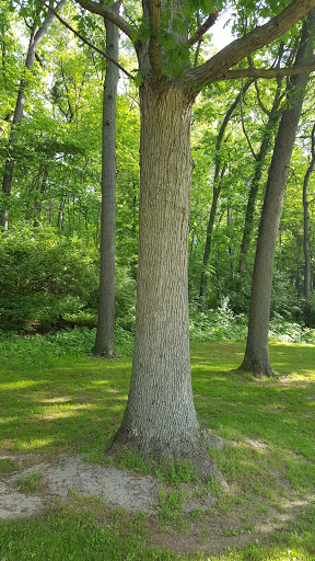 Golf Course «Huron Hills Golf Course», reviews and photos, 3465 E Huron River Dr, Ann Arbor, MI 48104, USA