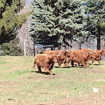 Photo n°2 de l'avis de Alessandro.a fait le 09/04/2022 à 13:26 sur le  Agriturismo La Selva à Arzo