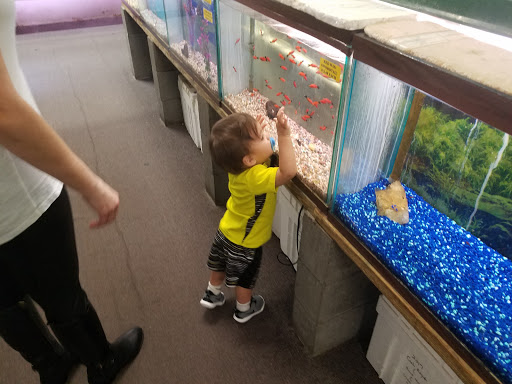 Tropical Fish Store «Fintique», reviews and photos, 701 West Ave, San Antonio, TX 78201, USA