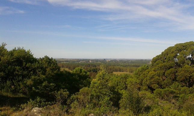 ARBORETUM ANTONIO LUSSICH - Maldonado