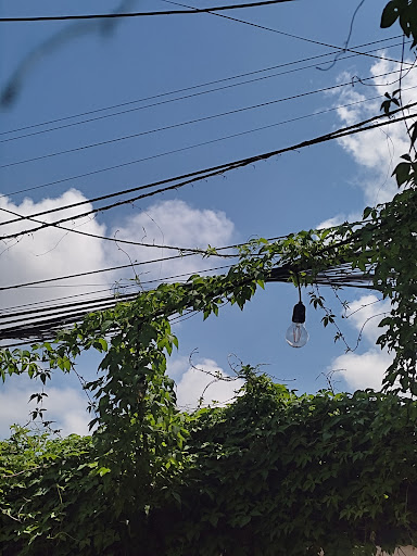 Top 20 quán cafe cho trẻ em Huyện Vĩnh Bảo Hải Phòng 2022