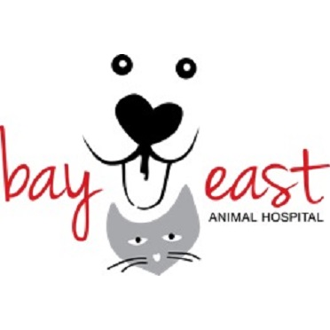 Bay East Animal Hospital: Cheryl Skaletski DVM image