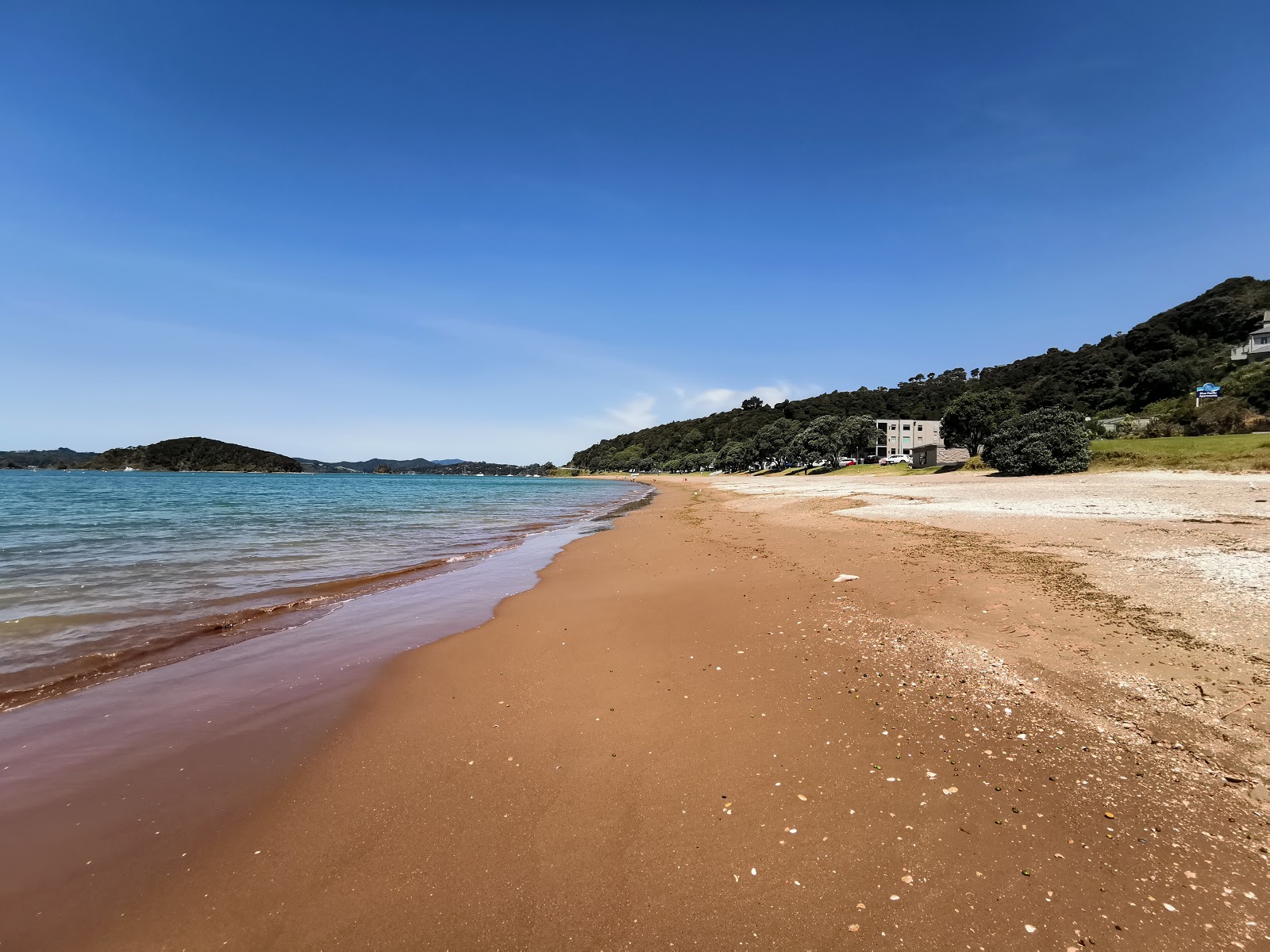 Fotografija Paihia Beach z prostorna obala