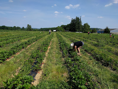 Les Jardins de Pontarcher à Ambleny