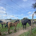 Photo n°3 de l'avis de joao.i fait le 29/03/2023 à 17:06 sur le  Monte Do Areeiro à Coruche
