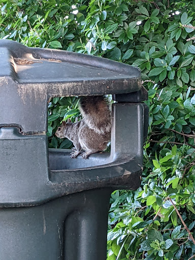 Playground «Varney Playground», reviews and photos, 45 Varney Ave, North Chelmsford, MA 01863, USA