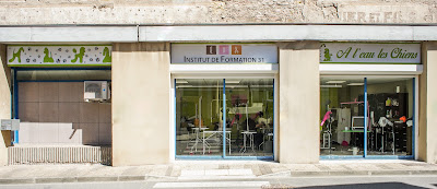 Institut De Formation 31 à Graulhet
