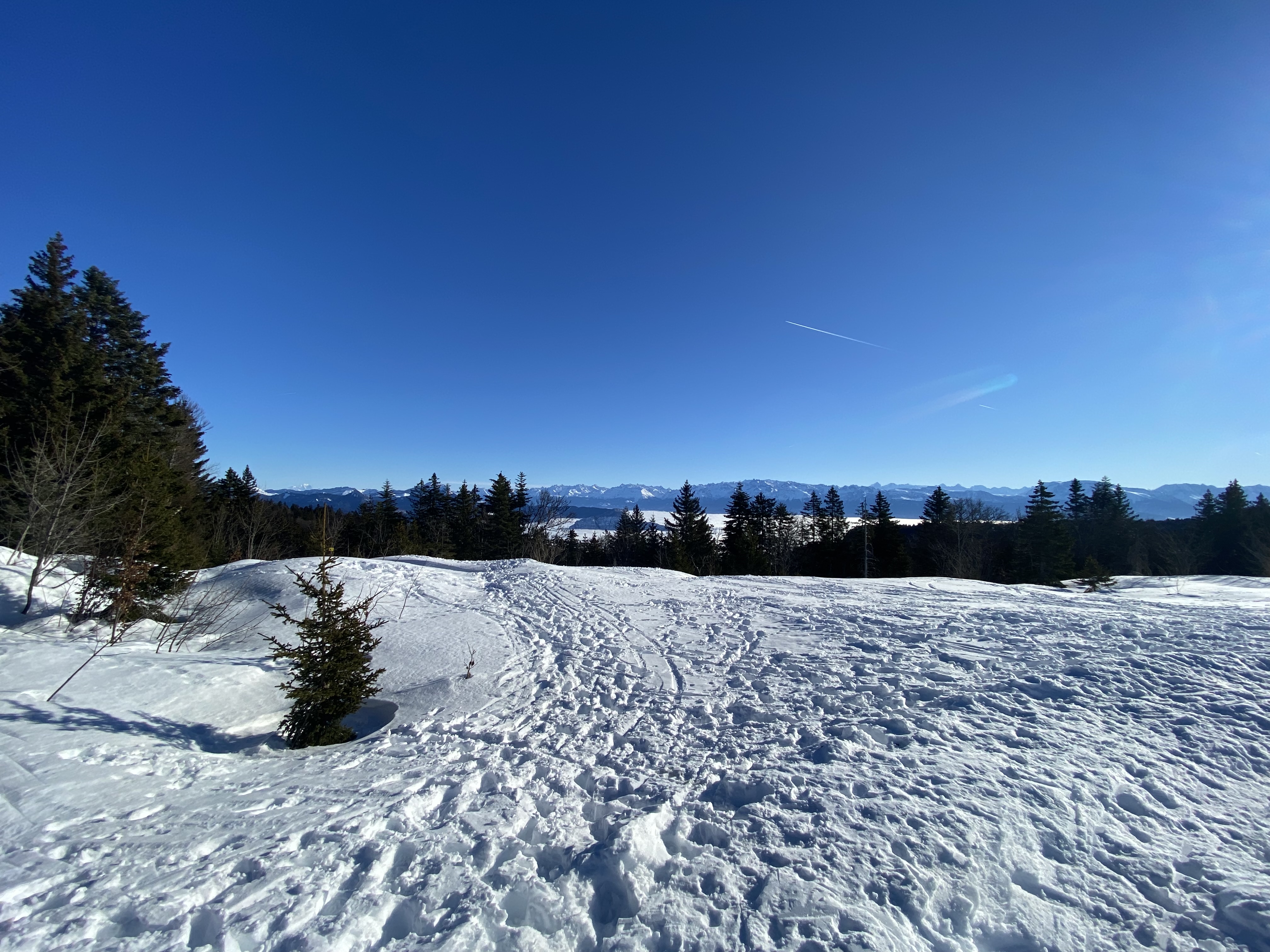 Photo n° 1 de l'avis de Modjo.i fait le 20/12/2021 à 22:32