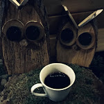 Photo n°1 de l'avis de Justus.d fait le 14/12/2019 à 20:08 sur le  Gasthof Stangendorf à Mülsen