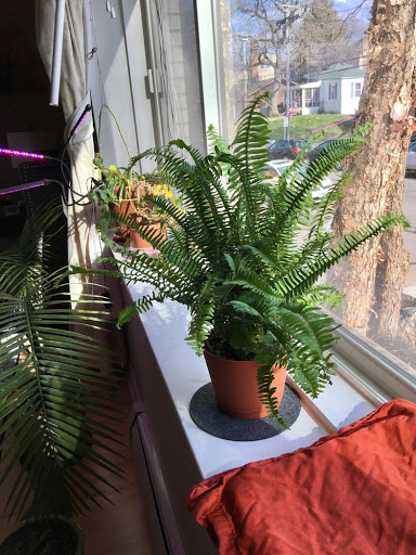 Grocery Store «Lunds & Byerlys Uptown Minneapolis», reviews and photos, 1450 W Lake St, Minneapolis, MN 55408, USA