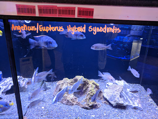 Tropical Fish Store «Premier Aquatics», reviews and photos, 1801 Roswell Rd, Marietta, GA 30062, USA