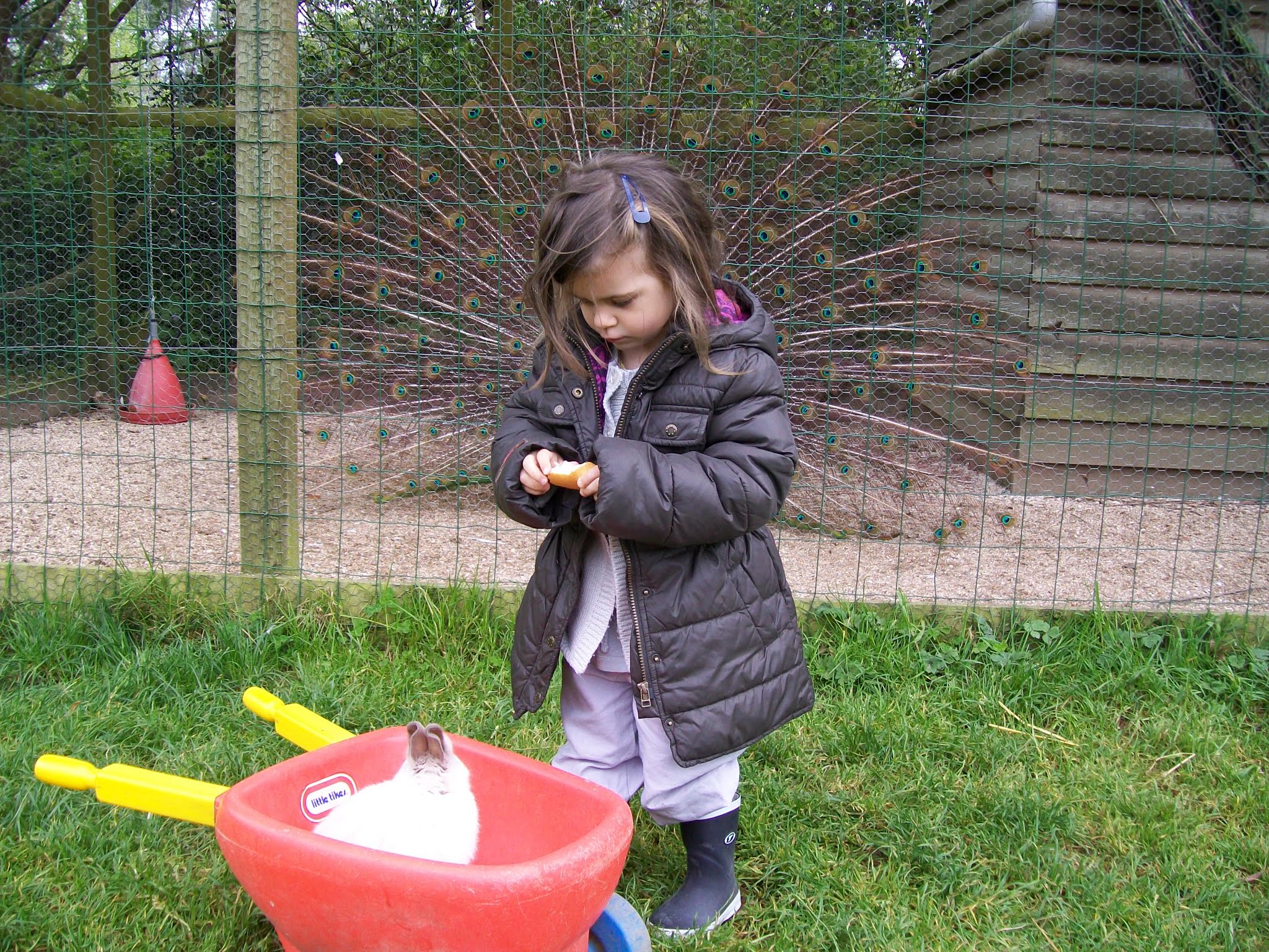 Photo n° 1 de l'avis de Bouco.a fait le 02/05/2018 à 15:04