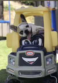 The Purr-fect Nanny - Photo 9 - Car repair in , Mission Viejo