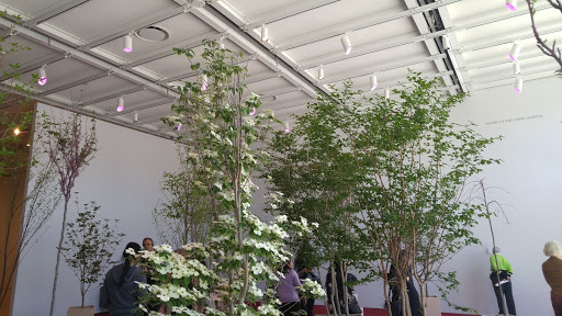 Modern Art Museum «Whitney Museum of American Art», reviews and photos, 99 Gansevoort St, New York, NY 10014, USA