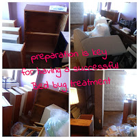 EYES ON PEST CONTROL LLC - Photo 3 - Car repair in , Queens