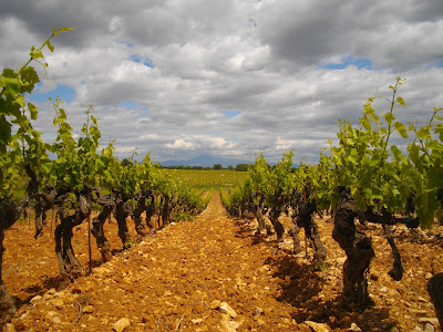 Domaine Jocelyn Raoux à Lirac