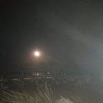 Photo n°4 de l'avis de Francesca.e fait le 25/06/2021 à 11:42 sur le  Stella Maris à San Michele al Tagliamento