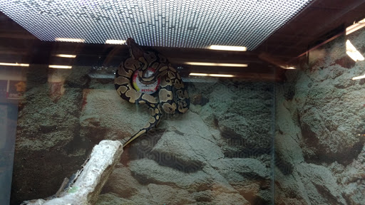 Pet Supply Store «Petco Animal Supplies», reviews and photos, 1014 Shoppes At Midway Dr, Knightdale, NC 27545, USA