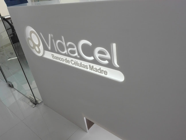 Comentarii opinii despre VidaCel