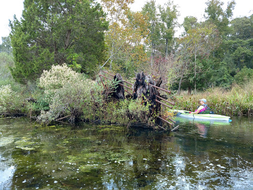 Tourist Attraction «Mallows Bay», reviews and photos, 1440 Wilson Landing Rd, Nanjemoy, MD 20662, USA
