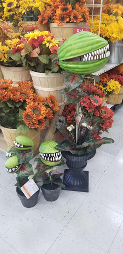 Craft Store «Michaels», reviews and photos, 7624 Voice of America Centre Dr, West Chester Township, OH 45069, USA