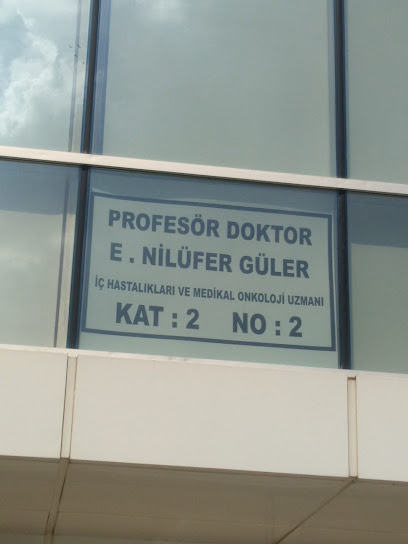 Prof.Dr.Nilüfer GÜLER