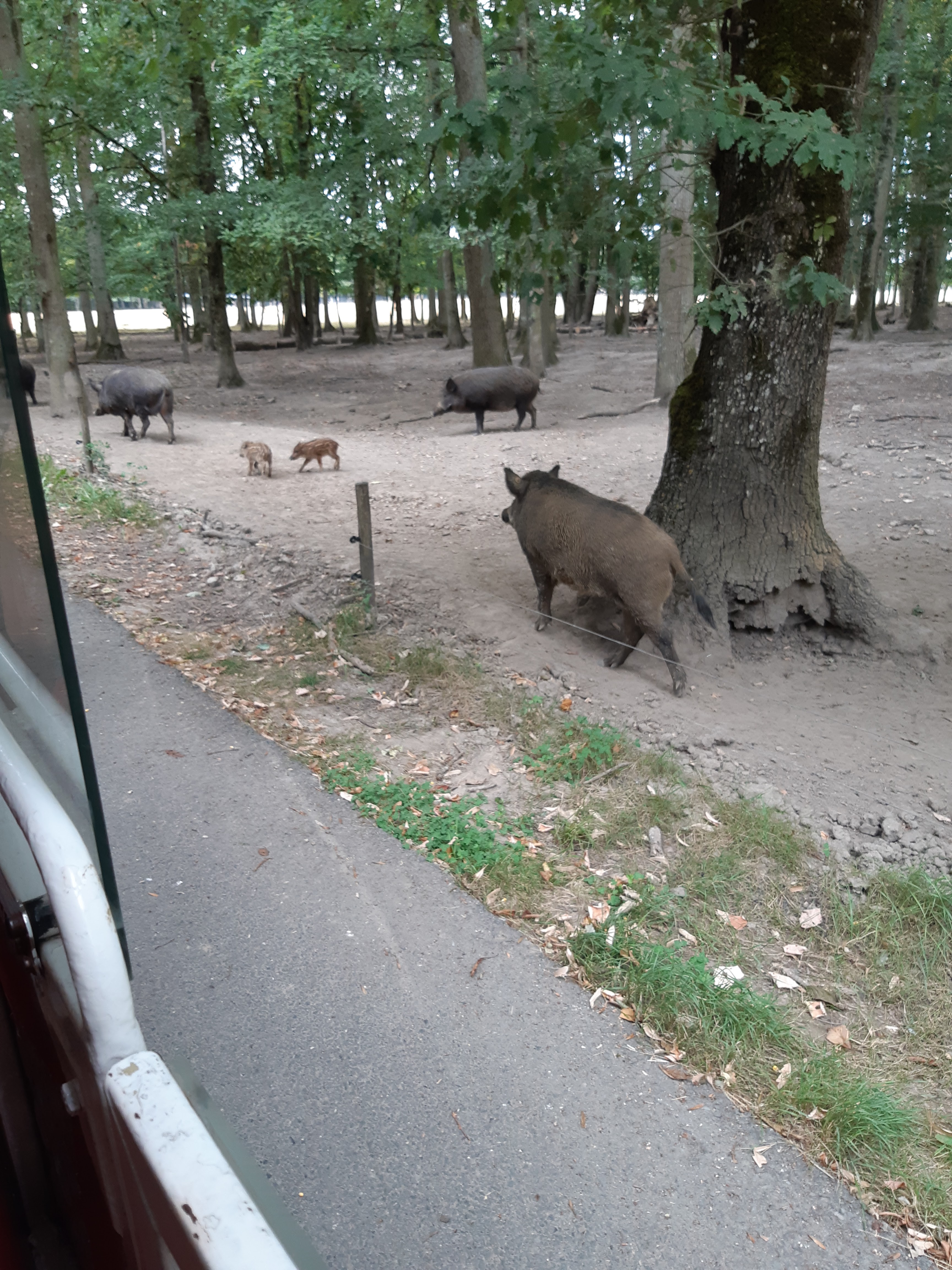 Photo n° 3 de l'avis de Carla.a fait le 10/08/2018 à 15:54