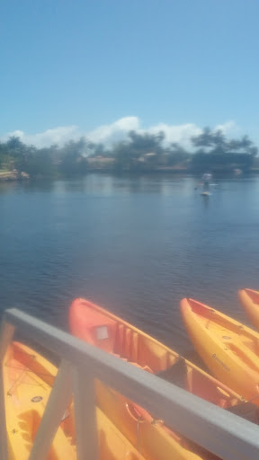 Surf Shop «Sunrise Paddleboards, LLC.», reviews and photos, 2520 N Federal Hwy, Fort Lauderdale, FL 33305, USA