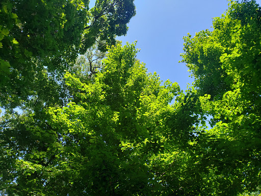 State Park «Valley Stream State Park», reviews and photos, Valley Stream State Park Rd, Valley Stream, NY 11580, USA