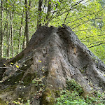 Photo n°6 de l'avis de Rocco.a fait le 06/10/2023 à 07:53 sur le  Freizeitpark Plohn à Lengenfeld