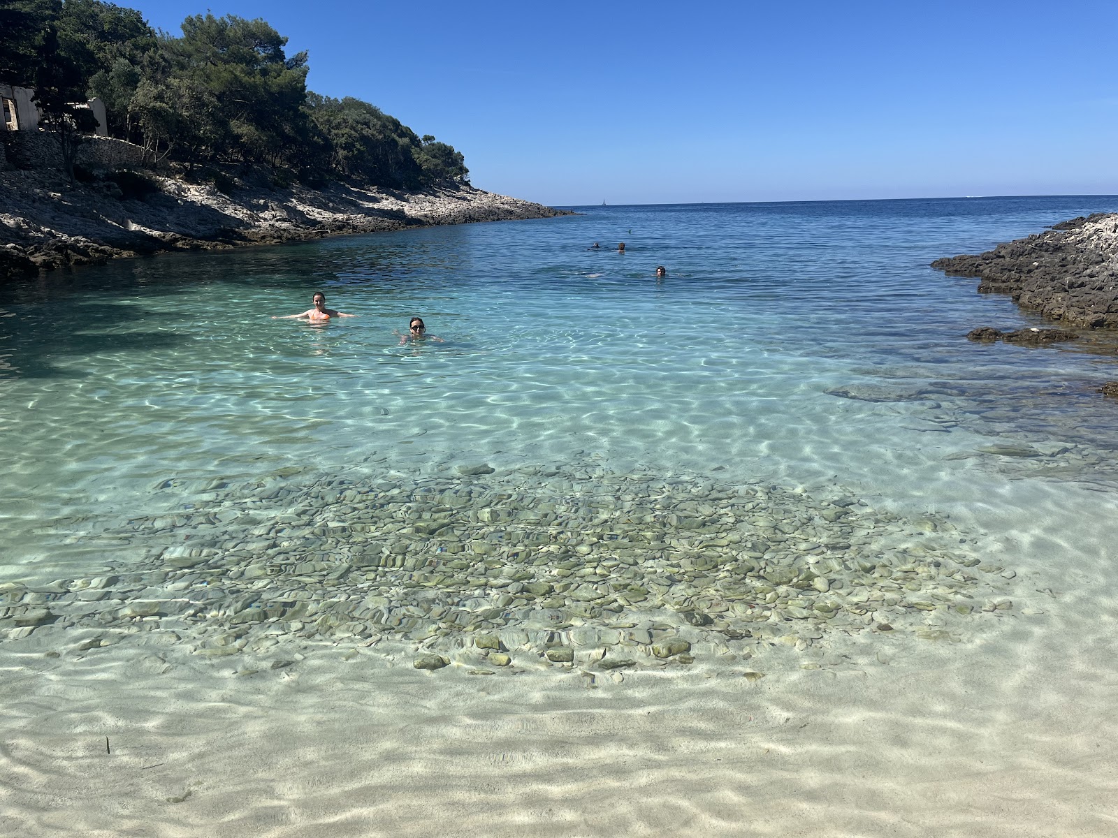 Cuanguski Zaljev'in fotoğrafı imkanlar alanı