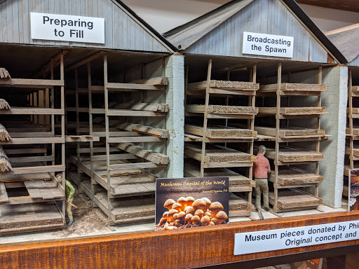 Gift Shop «The Mushroom Cap», reviews and photos, 114 W State St, Kennett Square, PA 19348, USA