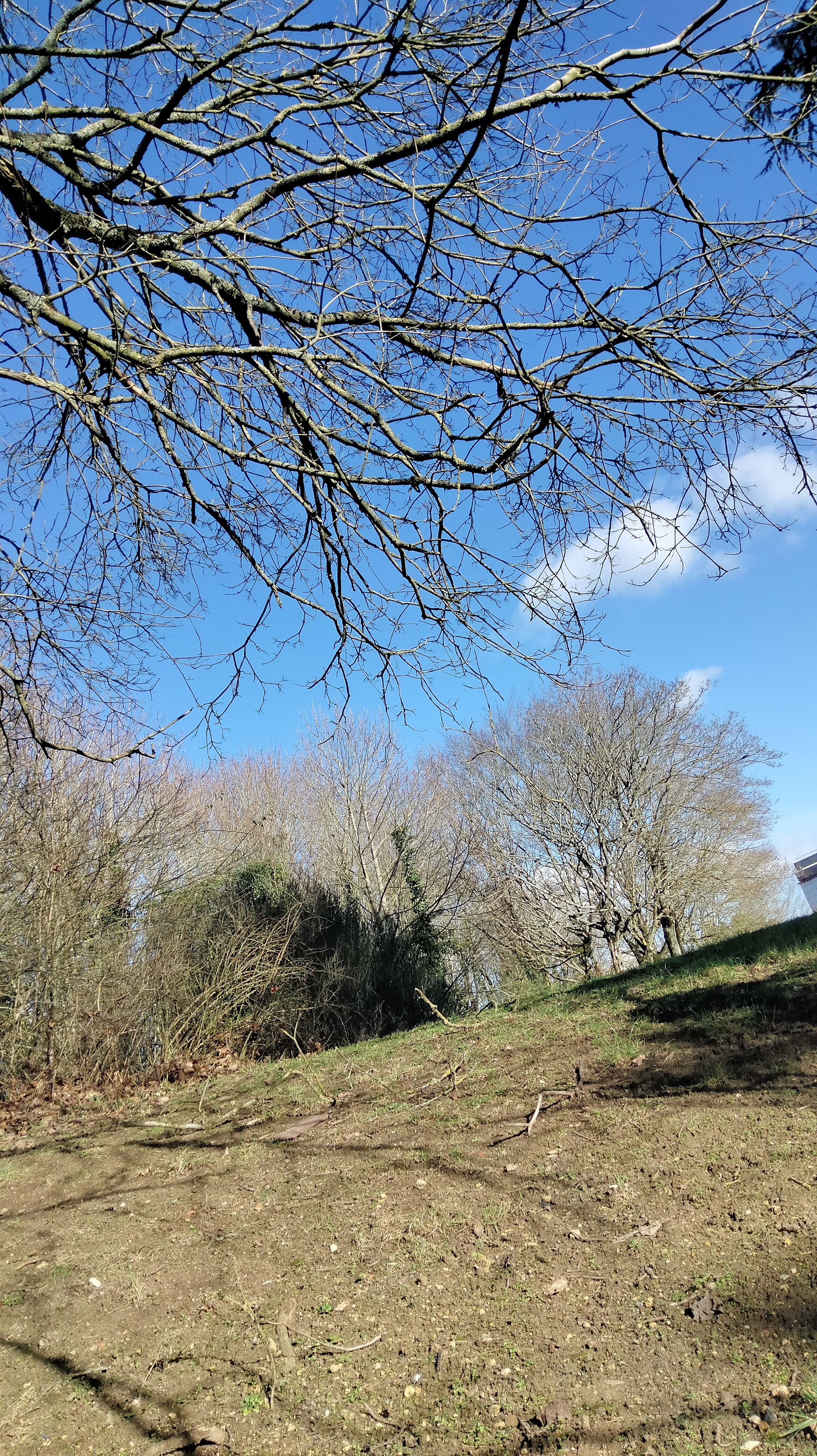 Photo n° 7 de l'avis de NTIGURA.a fait le 15/02/2022 à 23:16
