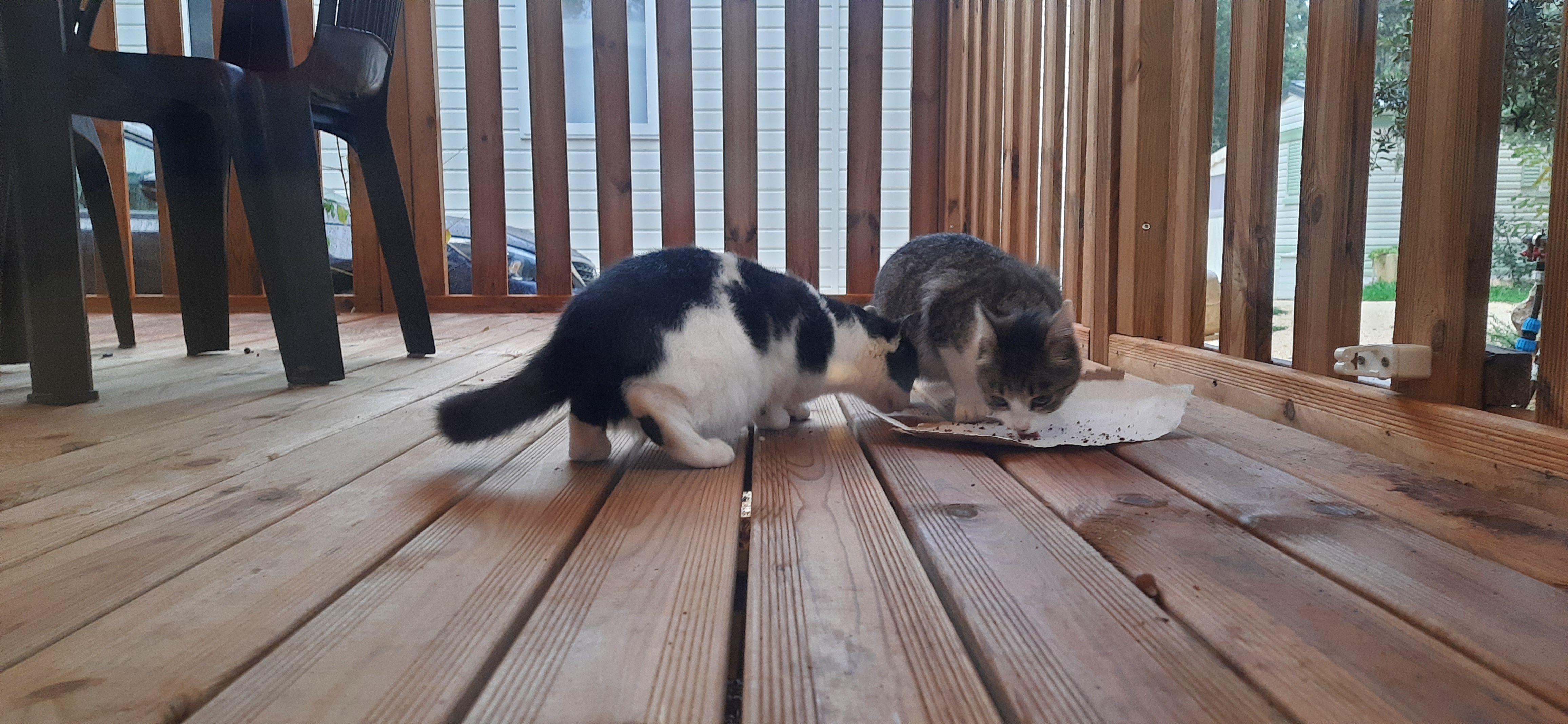 Photo n° 1 de l'avis de Bruno.e fait le 14/11/2021 à 07:49