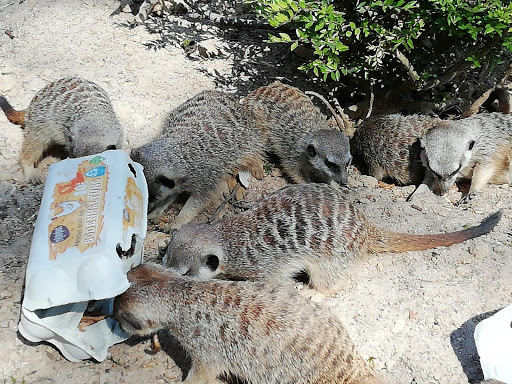 Fauna Zoo unter Solingen, 