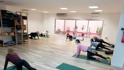 Centro de yoga, Iyengar Yoga
