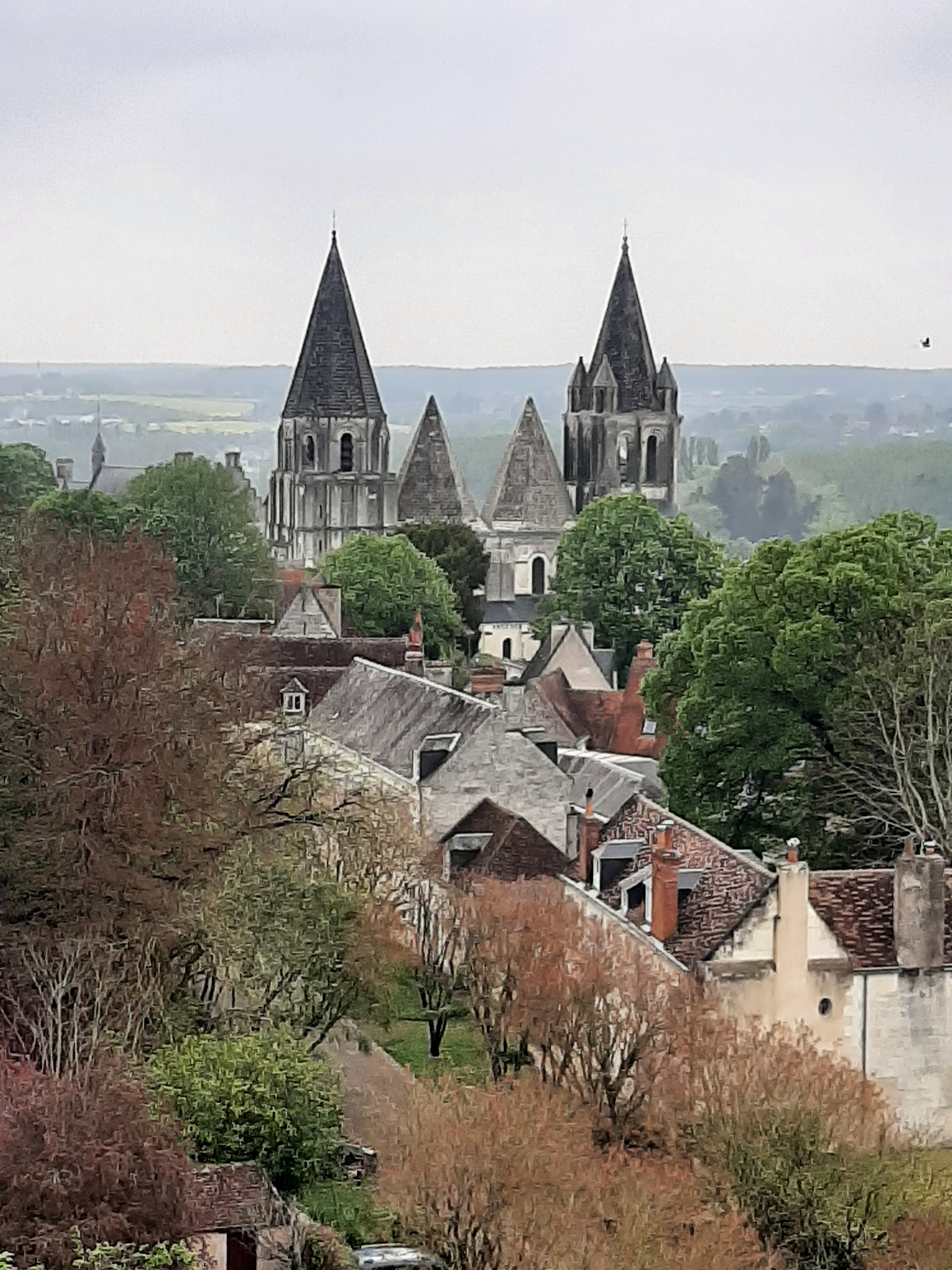 Photo n° 3 de l'avis de Olive.. fait le 26/04/2022 à 19:12