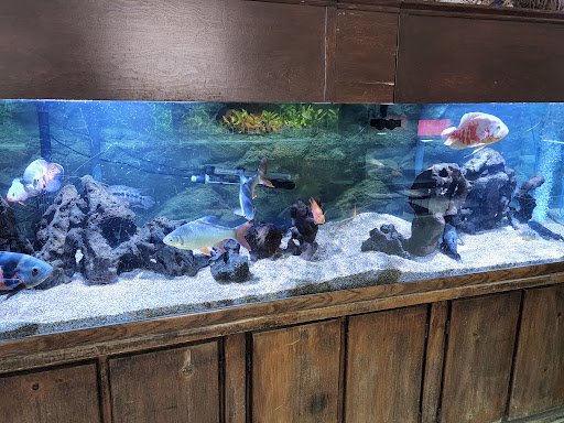 Pet Store «Valley Pets», reviews and photos, 6380 US-85, Fountain, CO 80817, USA