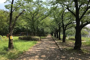 Hachijo Water Park image