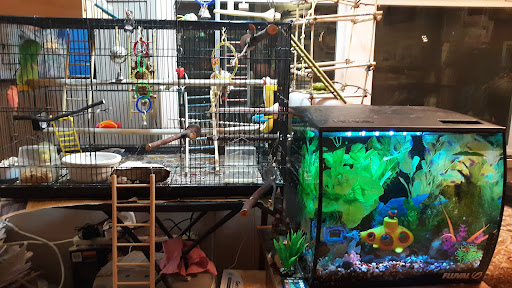 Pet Supply Store «Petco Animal Supplies», reviews and photos, 1201 E Washington Ave, Union Gap, WA 98903, USA