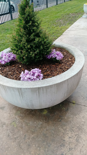 Donations Center «Goodwill Hartford Donation Station», reviews and photos, 315 New Park Ave, Hartford, CT 06106, USA